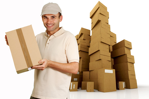 Packers And Movers Noida Sector 5